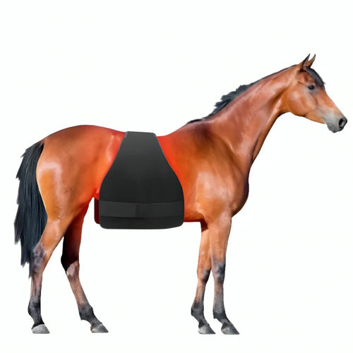 EquiFit Pro Horse Pad