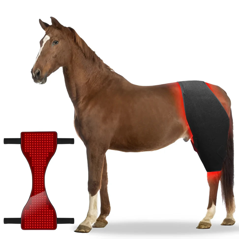 EquiFit Pro Horse Pad