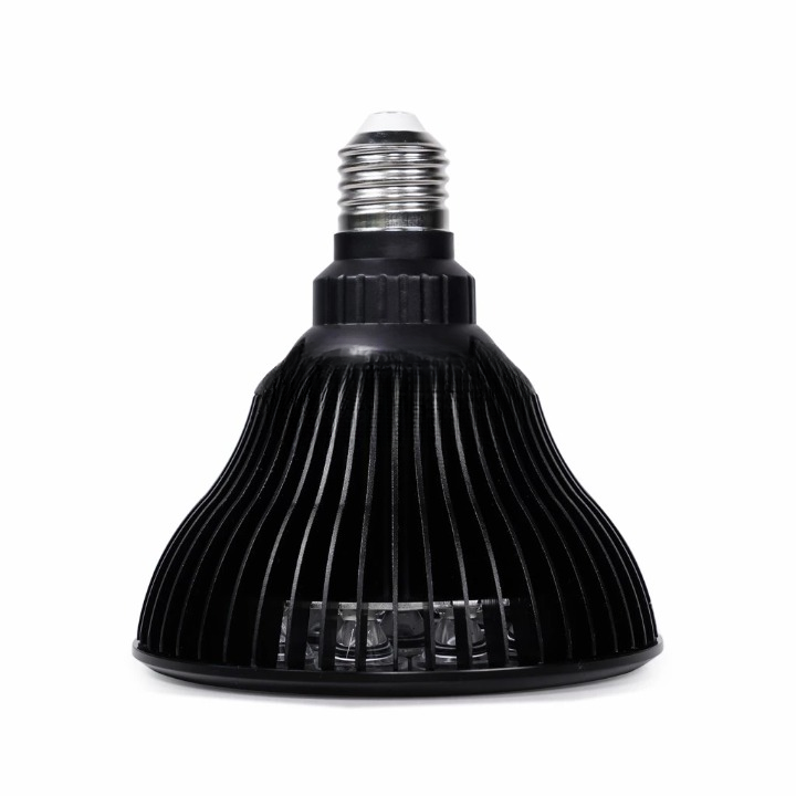 Bulb 4.0 Portable Therapy