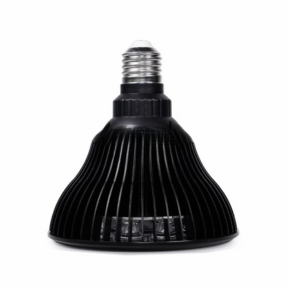 Bulb 4.0 Portable Therapy