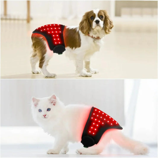 PetWell - Red Light Therapy Mat